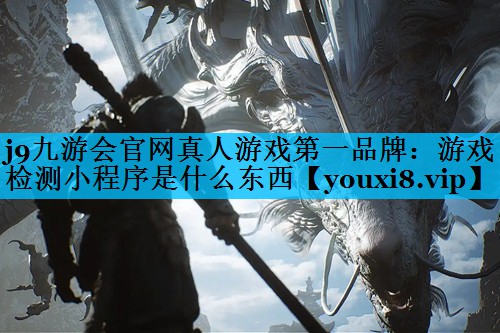 j9九游会官网真人游戏第一品牌：游戏检测小程序是什么东西