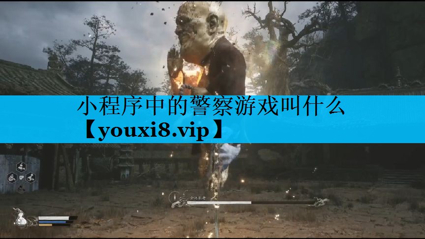 小程序中的警察游戏叫什么