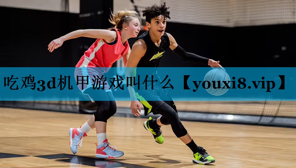 吃鸡3d机甲游戏叫什么
