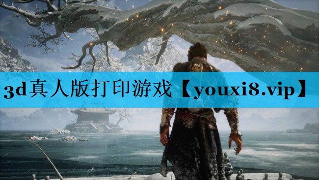 3d真人版打印游戏