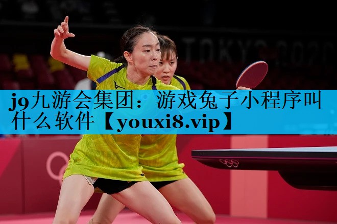 游戏兔子小程序叫什么软件