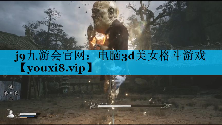 j9九游会官网：电脑3d美女格斗游戏