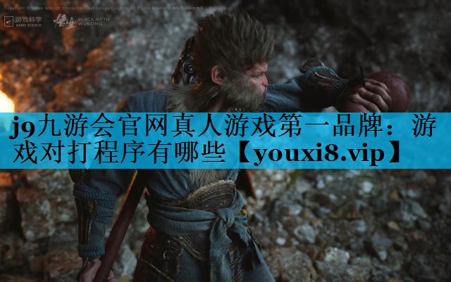 j9九游会官网真人游戏第一品牌：游戏对打程序有哪些